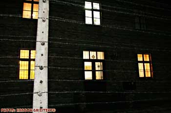IMG_ (11826)